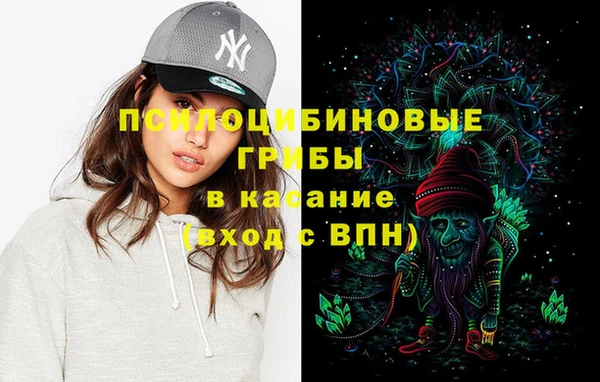 индика Переславль-Залесский