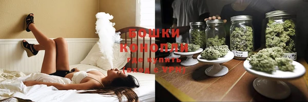 PSILOCYBIN Богородск