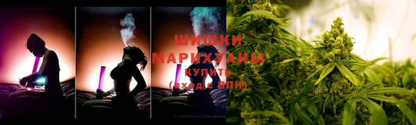 PSILOCYBIN Богородск