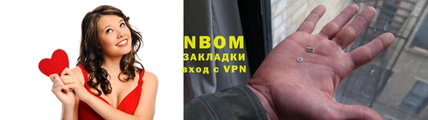 индика Переславль-Залесский